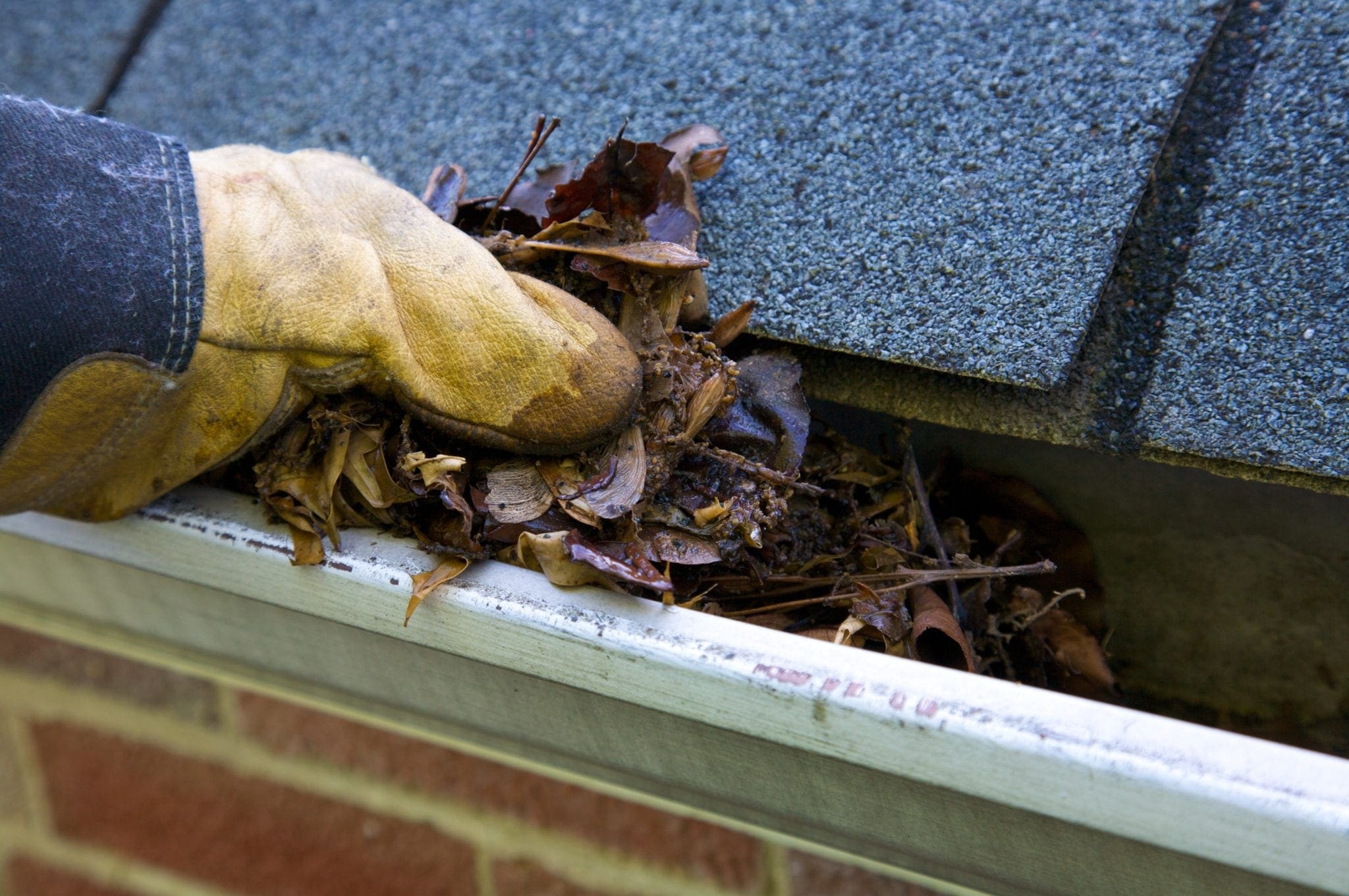 Cleaning leaves from gutters