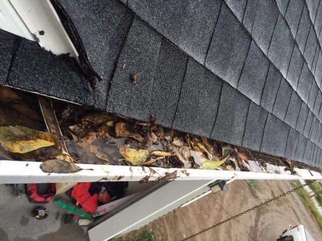 Gutters filled with dirty leaves