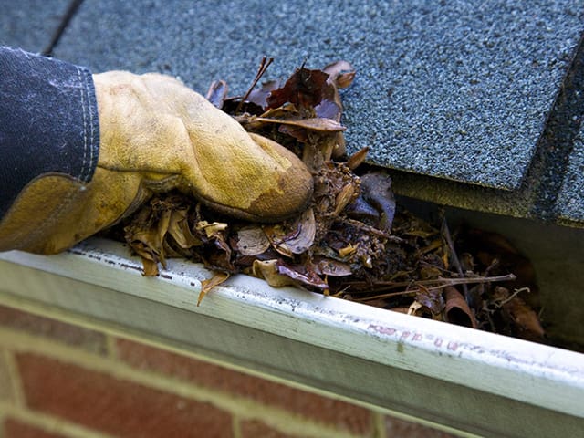 Fall-Cleanup_Resized-146056643 Gutter spout